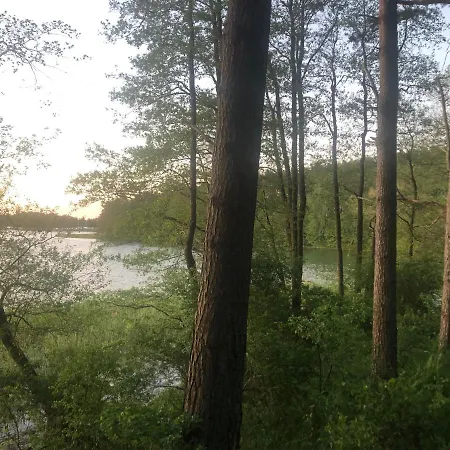 Nature Villa