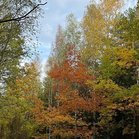 Nature Vila